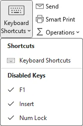 Disable Keys.png