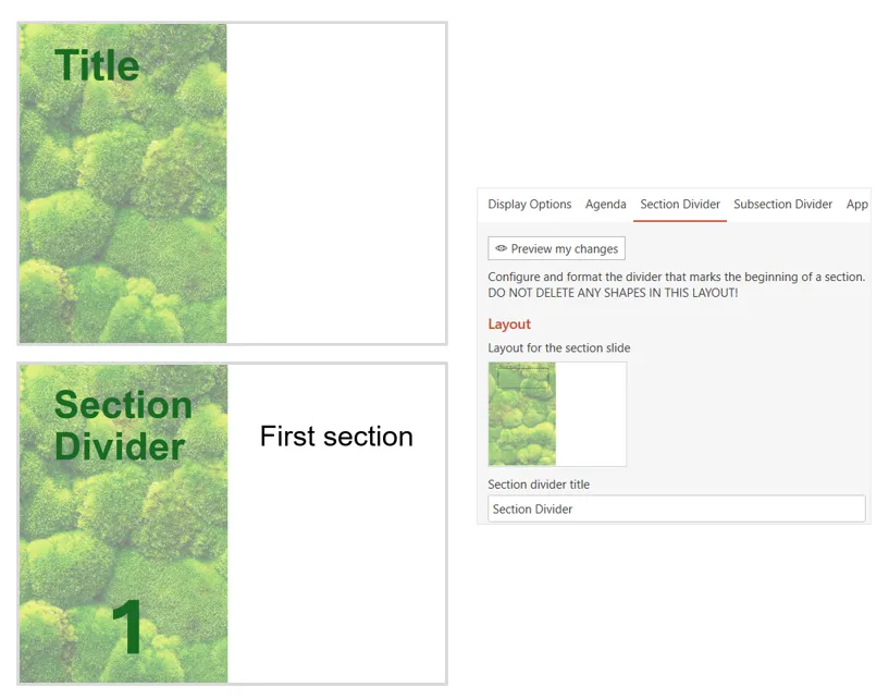 Option Layout.png