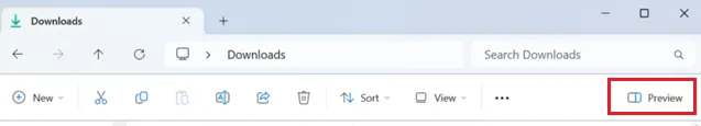 Win 11 - Preview Pane.png