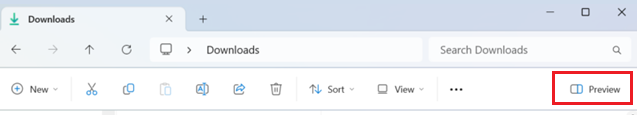 Win 11 - Preview Pane.png